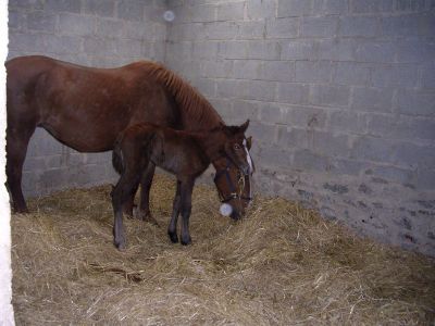 Abby and baby