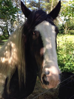 Kippling looking older, but just as cheeky!