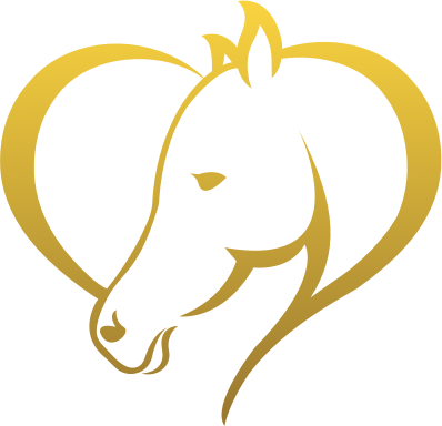 Natural Horsemanship Ireland Logo